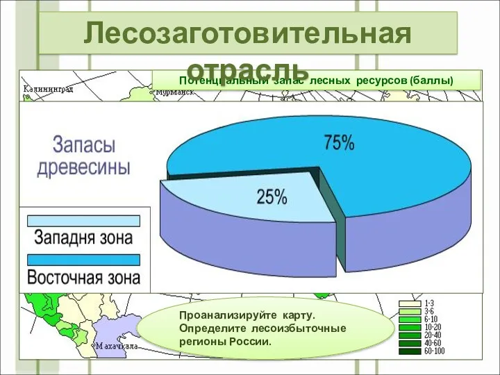 Потенциальный запас лесных ресурсов (баллы) Проанализируйте карту. Определите лесоизбыточные регионы России. Лесозаготовительная отрасль