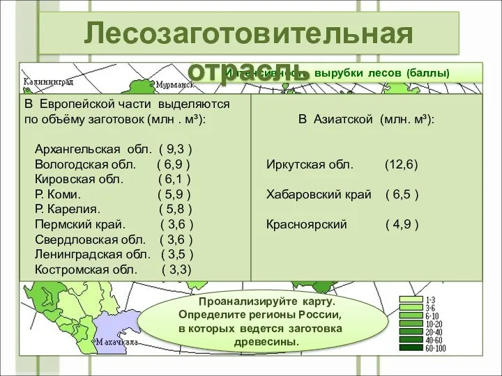 Интенсивность вырубки лесов (баллы) Проанализируйте карту. Определите регионы России, в которых ведется заготовка