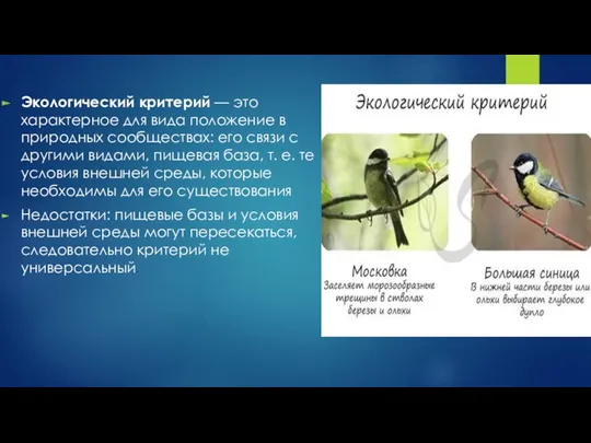 Экологический критерий — это характерное для вида положение в природных сообществах: его связи