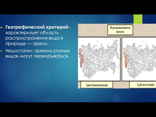 Географический критерий- характеризует область распространения вида в природе — ареал. Недостатки: ареалы разных видов могут перекрываться.