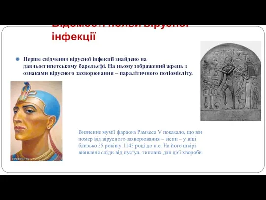 Відомості появи вірусної інфекції Перше свідчення вірусної інфекції знайдено на