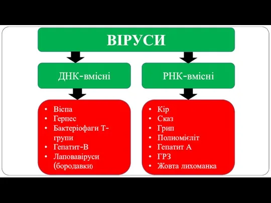 ВІРУСИ ДНК-вмісні РНК-вмісні Віспа Герпес Бактеріофаги Т-групи Гепатит-В Лаповавіруси (бородавки)