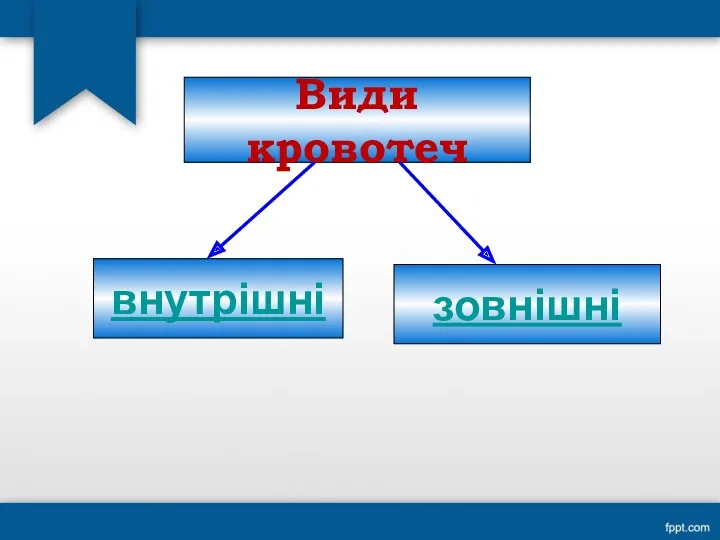 Види кровотеч внутрішні зовнішні