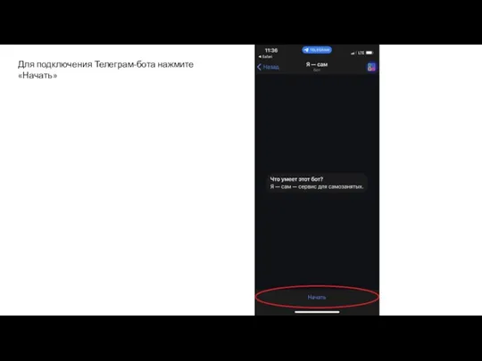 Для подключения Телеграм-бота нажмите «Начать»