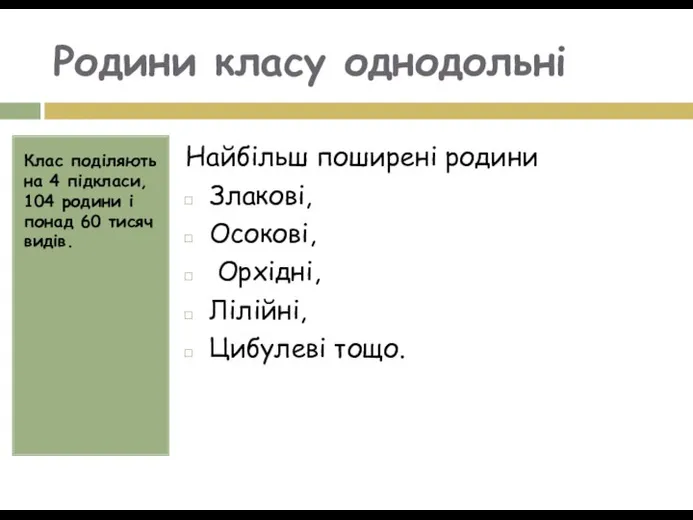 Родини класу однодольні Клас поділяють на 4 підкласи, 104 родини