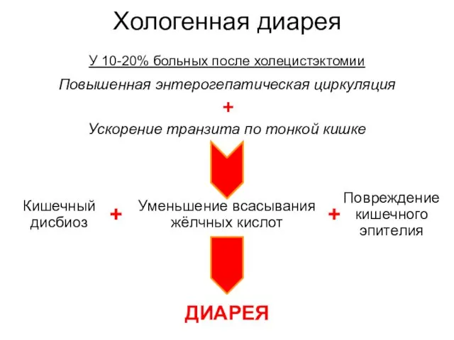 Хологенная диарея У 10-20% больных после холецистэктомии Повышенная энтерогепатическая циркуляция