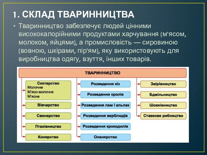 1. СКЛАД ТВАРИННИЦТВА Тваринництво забезпечує людей цінними висококалорійними продуктами харчування