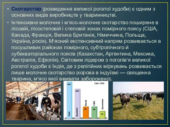 Скотарство (розведення великої рогатої худоби) є одним з основних видів виробництв у тваринництві.