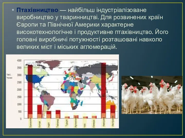 Птахівництво — найбільш індустріалізоване виробництво у тваринництві. Для розвинених країн Європи та Північної