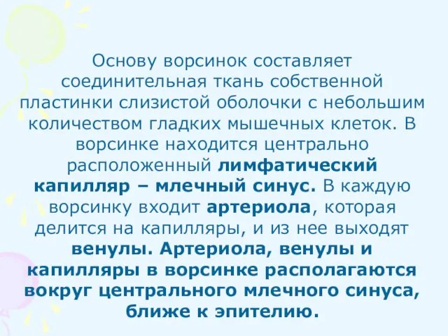 Основу ворсинок составляет соединительная ткань собственной пластинки слизистой оболочки с