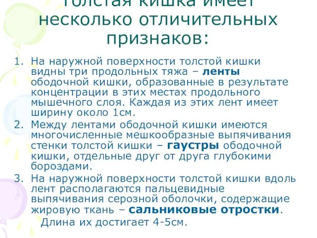 Толстая кишка имеет несколько отличительных признаков: На наружной поверхности толстой