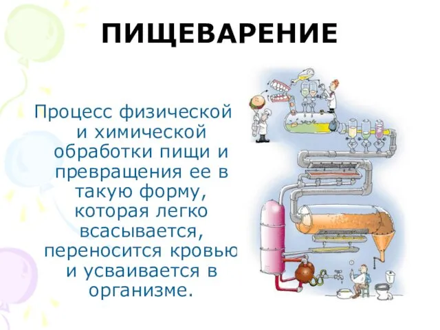 ПИЩЕВАРЕНИЕ Процесс физической и химической обработки пищи и превращения ее