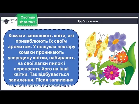 12.04.2023 Сьогодні Турботи комах Комахи запилюють квіти, які приваблюють їх