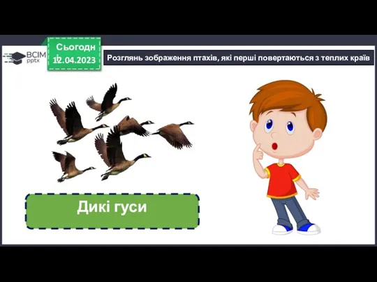 12.04.2023 Сьогодні Розглянь зображення птахів, які перші повертаються з теплих країв Дикі гуси