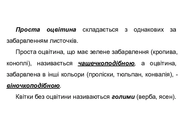 Проста оцвітина складається з однакових за забарвленням листочків. Проста оцвітина,