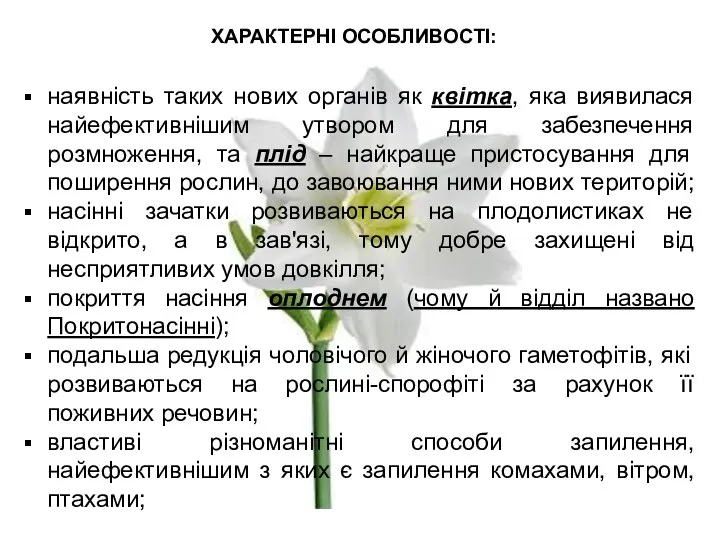 ХАРАКТЕРНІ ОСОБЛИВОСТІ: наявність таких нових органів як квітка, яка виявилася