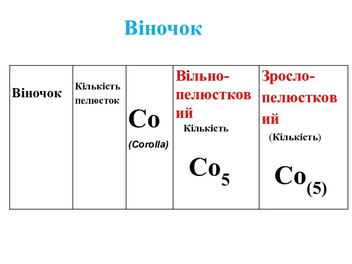 Віночок