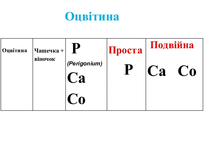 Оцвітина