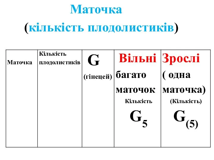 Маточка (кількість плодолистиків)