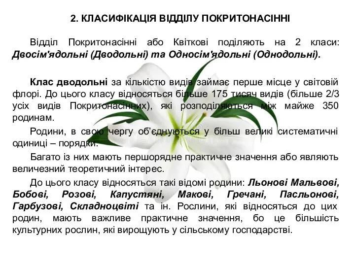 2. КЛАСИФІКАЦІЯ ВІДДІЛУ ПОКРИТОНАСІННІ Відділ Покритонасінні або Квіткові поділяють на