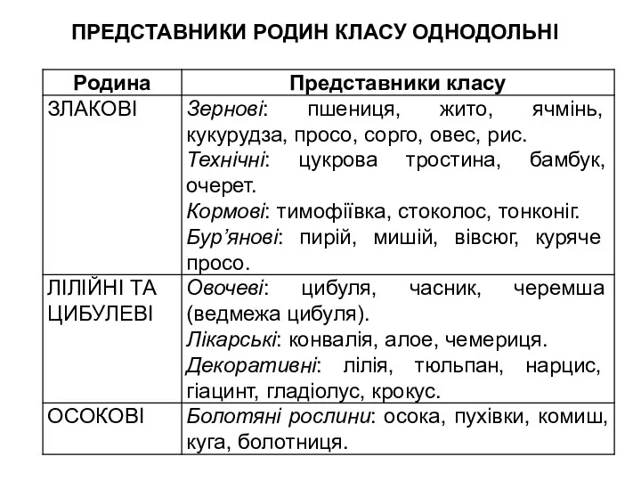 ПРЕДСТАВНИКИ РОДИН КЛАСУ ОДНОДОЛЬНІ