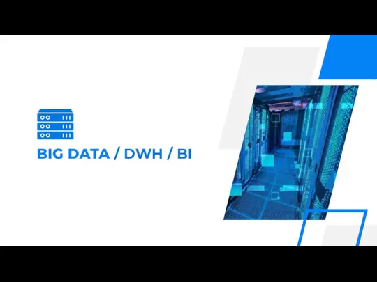 BIG DATA / DWH / BI