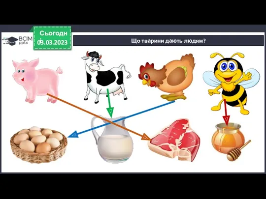 03.03.2023 Сьогодні Що тварини дають людям?