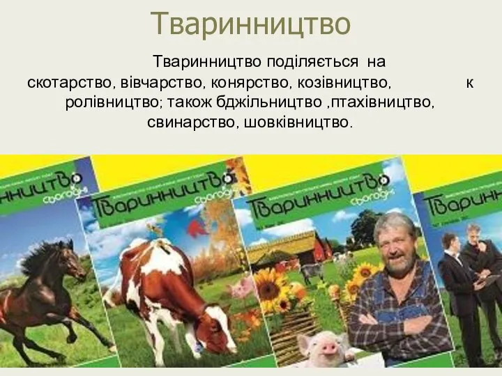 Тваринництво Тваринництво поділяється на скотарство, вівчарство, конярство, козівництво, кролівництво; також бджільництво ,птахівництво, свинарство, шовківництво.