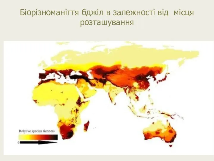 Біорізноманіття бджіл в залежності від місця розташування