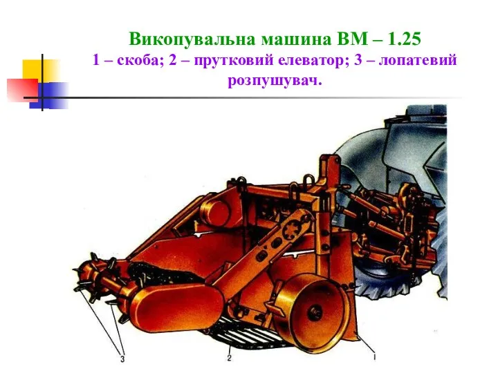 Викопувальна машина ВМ – 1.25 1 – скоба; 2 – прутковий елеватор; 3 – лопатевий розпушувач.