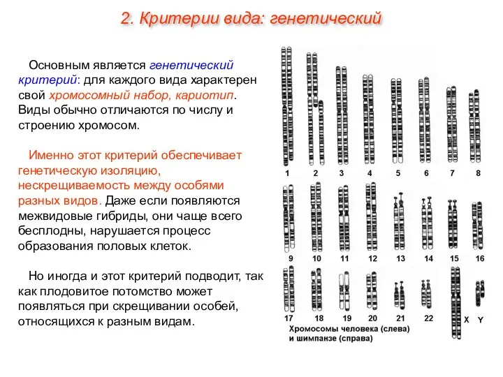 Основным является генетический критерий: для каждого вида характерен свой хромосомный набор, кариотип. Виды