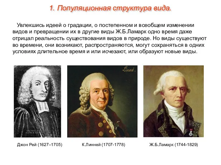 Увлекшись идеей о градации, о постепенном и всеобщем изменении видов и превращении их