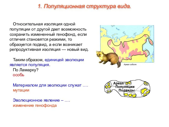 Относительная изоляция одной популяции от другой дает возможность сохранить измененный