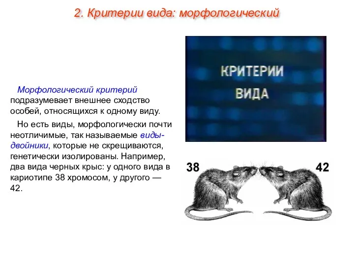 Морфологический критерий подразумевает внешнее сходство особей, относящихся к одному виду. Но есть виды,