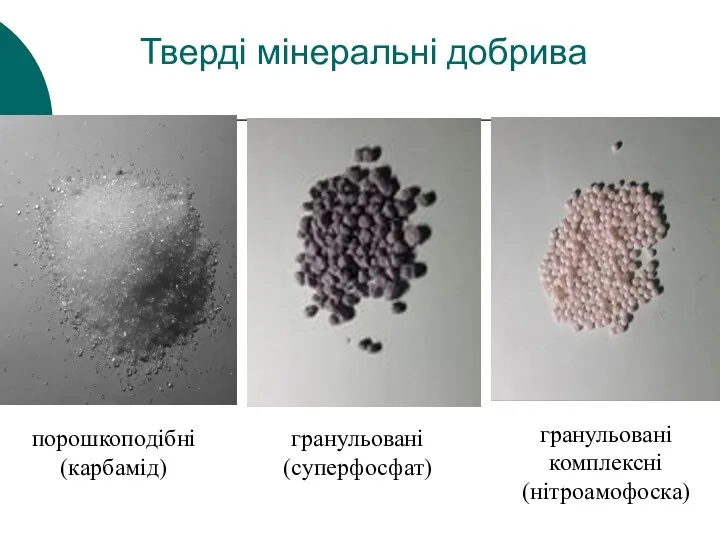 Тверді мінеральні добрива порошкоподібні (карбамід) гранульовані (суперфосфат) гранульовані комплексні (нітроамофоска)