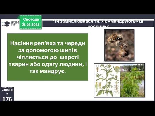 01.03.2023 Сьогодні Чи замислювався ти. Як «мандрують» ці рослини? Насіння