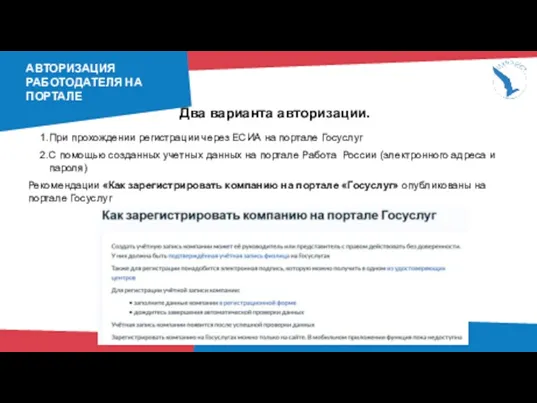 АВТОРИЗАЦИЯ РАБОТОДАТЕЛЯ НА ПОРТАЛЕ Два варианта авторизации. При прохождении регистрации