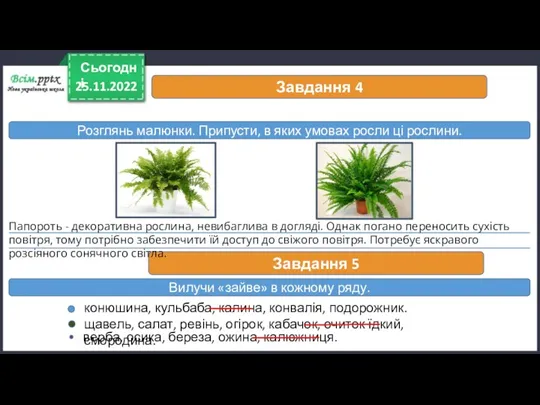 25.11.2022 Сьогодні Завдання 4 Розглянь малюнки. Припусти, в яких умовах