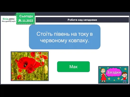 25.11.2022 Сьогодні Робота над загадками Стоїть півень на току в червоному ковпаку. Мак