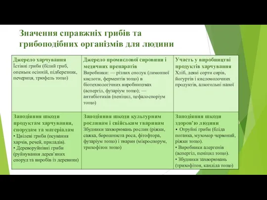 Значення справжніх грибів та грибоподібних організмів для людини