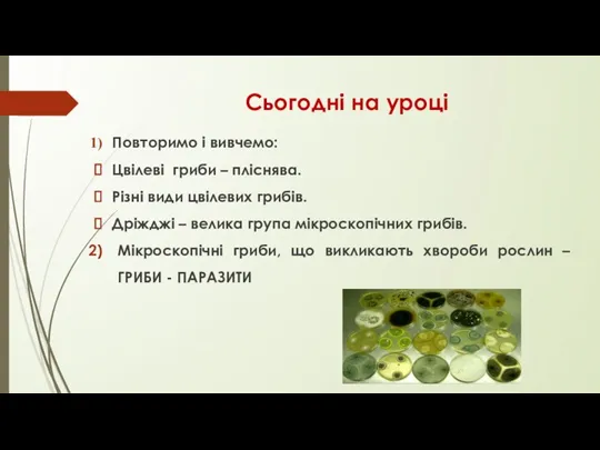 Сьогодні на уроці Повторимо і вивчемо: Цвілеві гриби – пліснява.