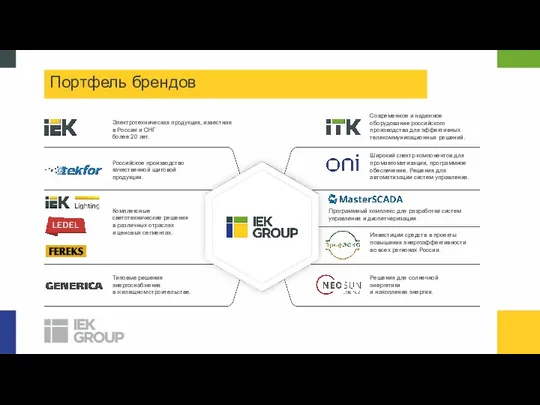 Портфель брендов Электротехническая продукция, известная в России и СНГ более