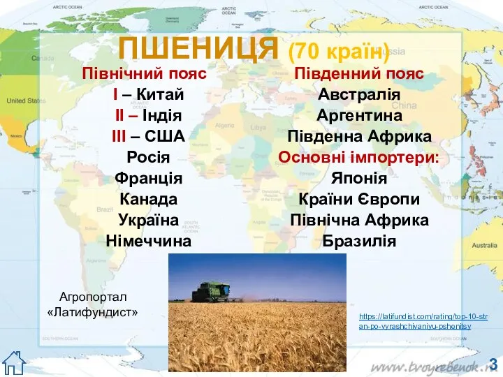 ПШЕНИЦЯ (70 країн) Північний пояс І – Китай ІІ –