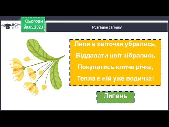 28.05.2023 Сьогодні Розгадай загадку Липи в квіточки убрались, Віддавати цвіт