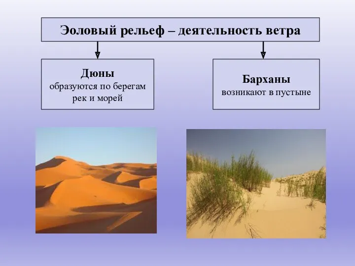 Эоловый рельеф – деятельность ветра Дюны образуются по берегам рек и морей Барханы возникают в пустыне