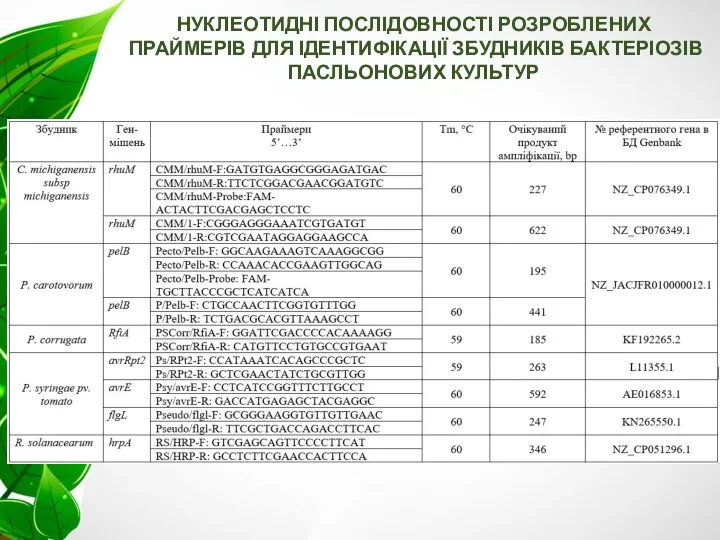 НУКЛЕОТИДНІ ПОСЛІДОВНОСТІ РОЗРОБЛЕНИХ ПРАЙМЕРІВ ДЛЯ ІДЕНТИФІКАЦІЇ ЗБУДНИКІВ БАКТЕРІОЗІВ ПАСЛЬОНОВИХ КУЛЬТУР