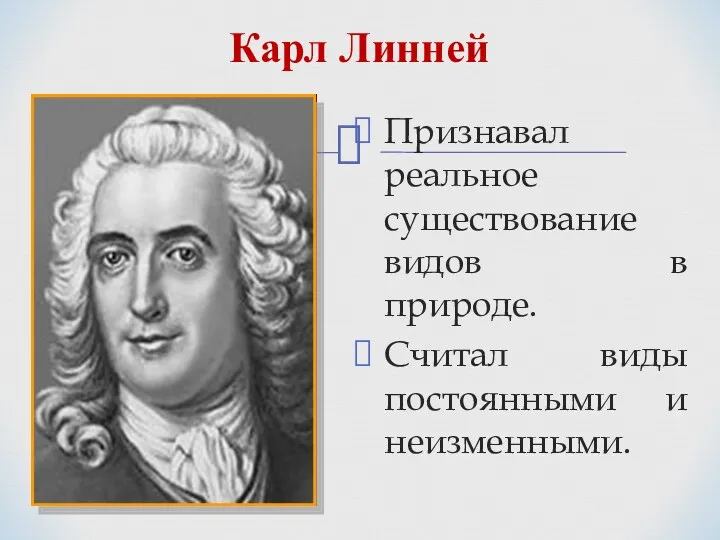 Карл Линней Признавал реальное существование видов в природе. Считал виды постоянными и неизменными.