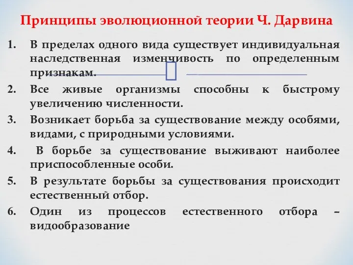 Принципы эволюционной теории Ч. Дарвина В пределах одного вида существует