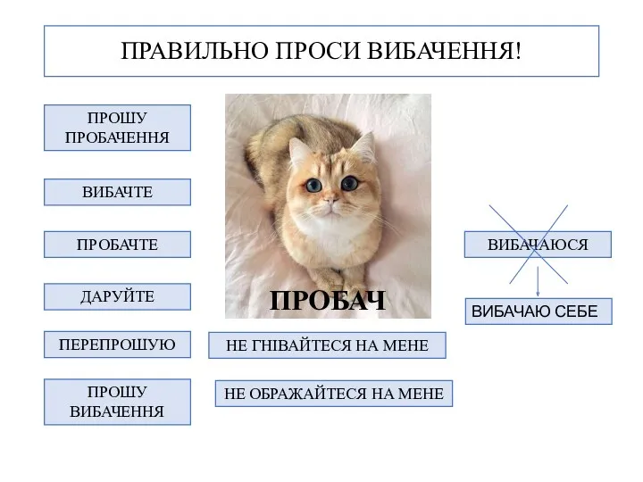 ПРАВИЛЬНО ПРОСИ ВИБАЧЕННЯ! ПРОШУ ПРОБАЧЕННЯ ВИБАЧТЕ ПРОБАЧТЕ ДАРУЙТЕ ВИБАЧАЮСЯ ПЕРЕПРОШУЮ