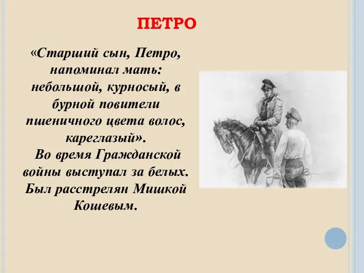 ПЕТРО «Старший сын, Петро, напоминал мать: небольшой, курносый, в бурной повители пшеничного цвета